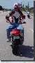 motorcyclepics8111.jpg