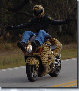 motorcyclepics8198.jpg
