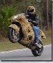 motorcyclepics8199.jpg