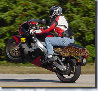 motorcyclepics8232.jpg